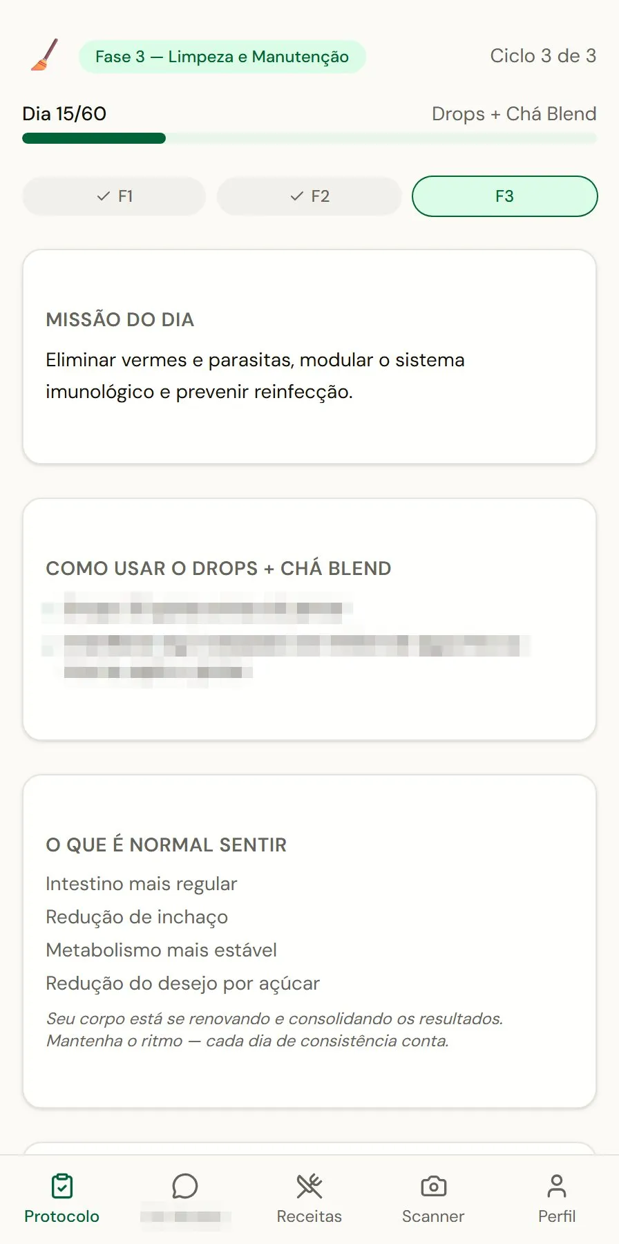 DesparaFit: a tela acompanha automaticamente o dia e a fase do protocolo